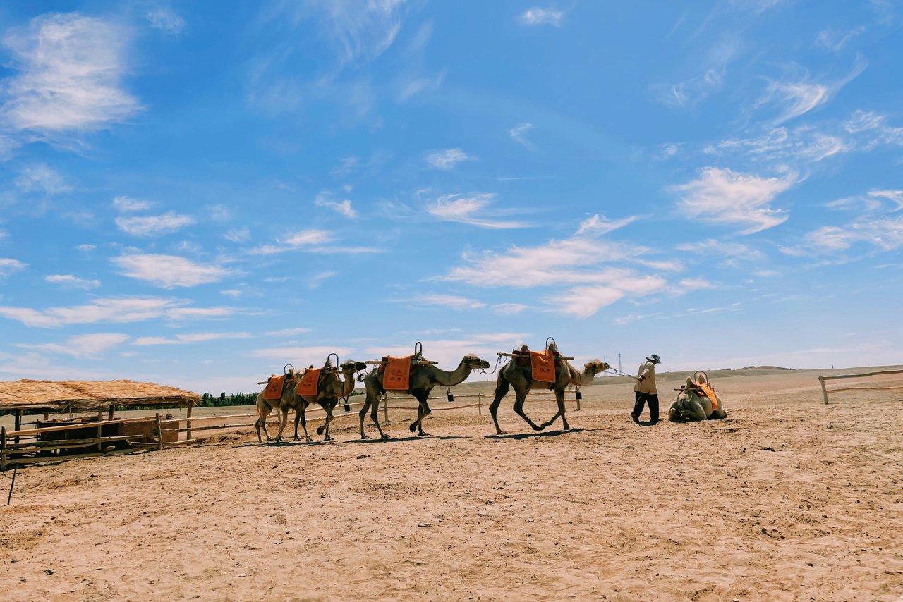 Dunhuang 3-Day Tour