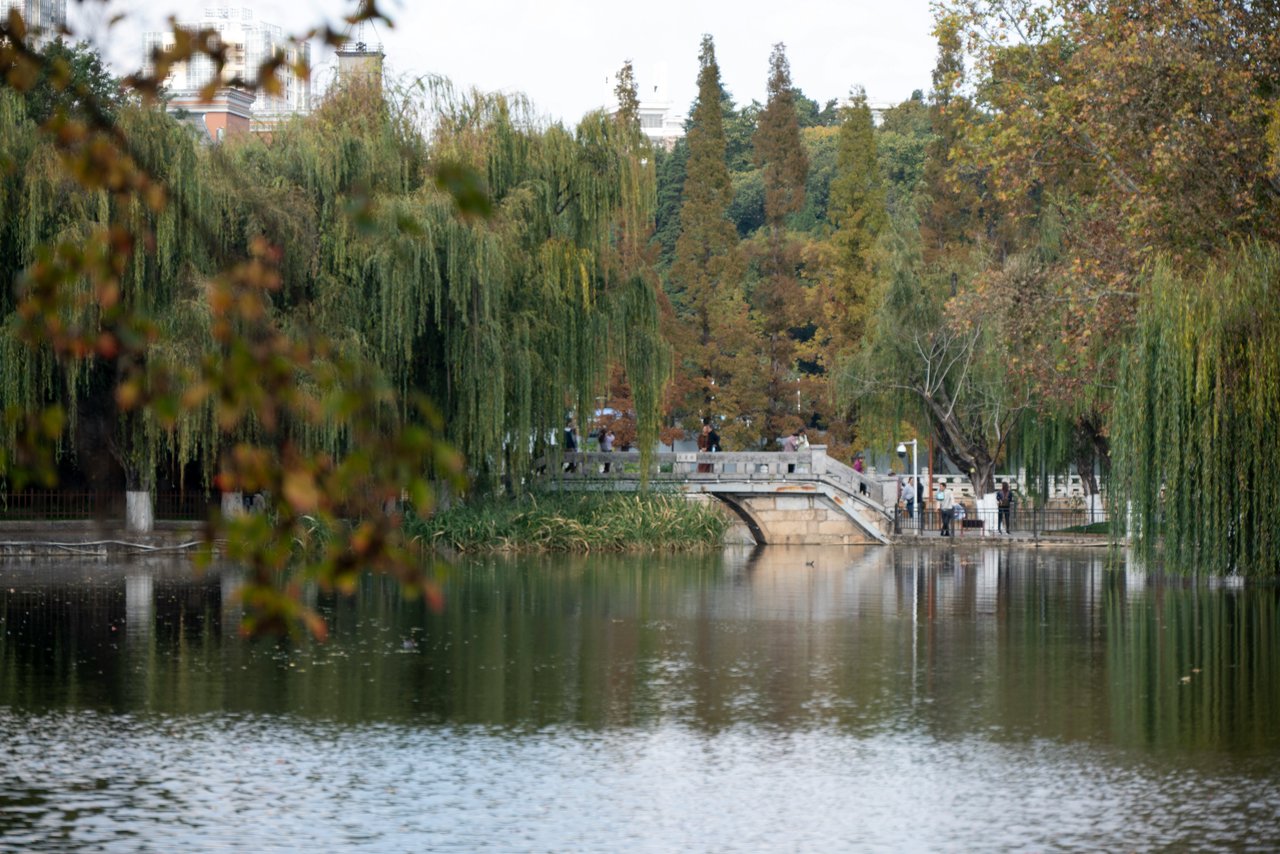 10-Day Southwest Odyssey: A Culinary and Cultural Journey